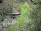 PICTURES/Ramsey Canyon Inn & Preserve/t_Ramsey Preserve - Old Cabin 1.JPG